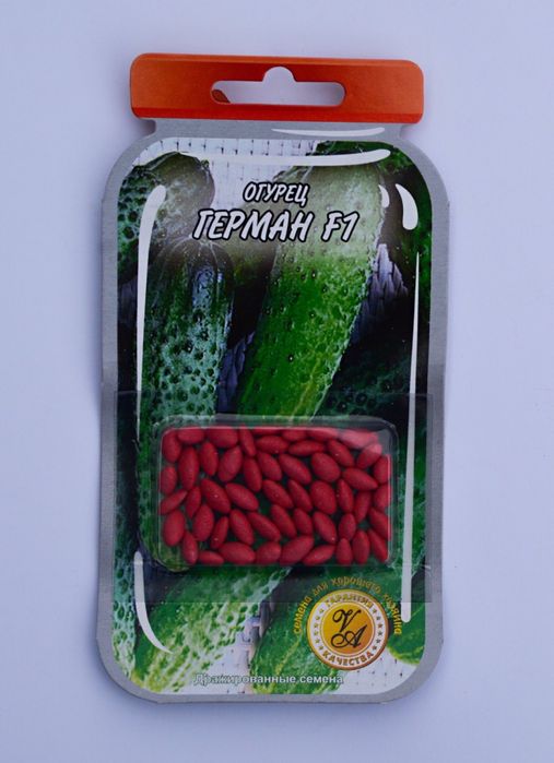 Насіння овочів та гірчиці оптом