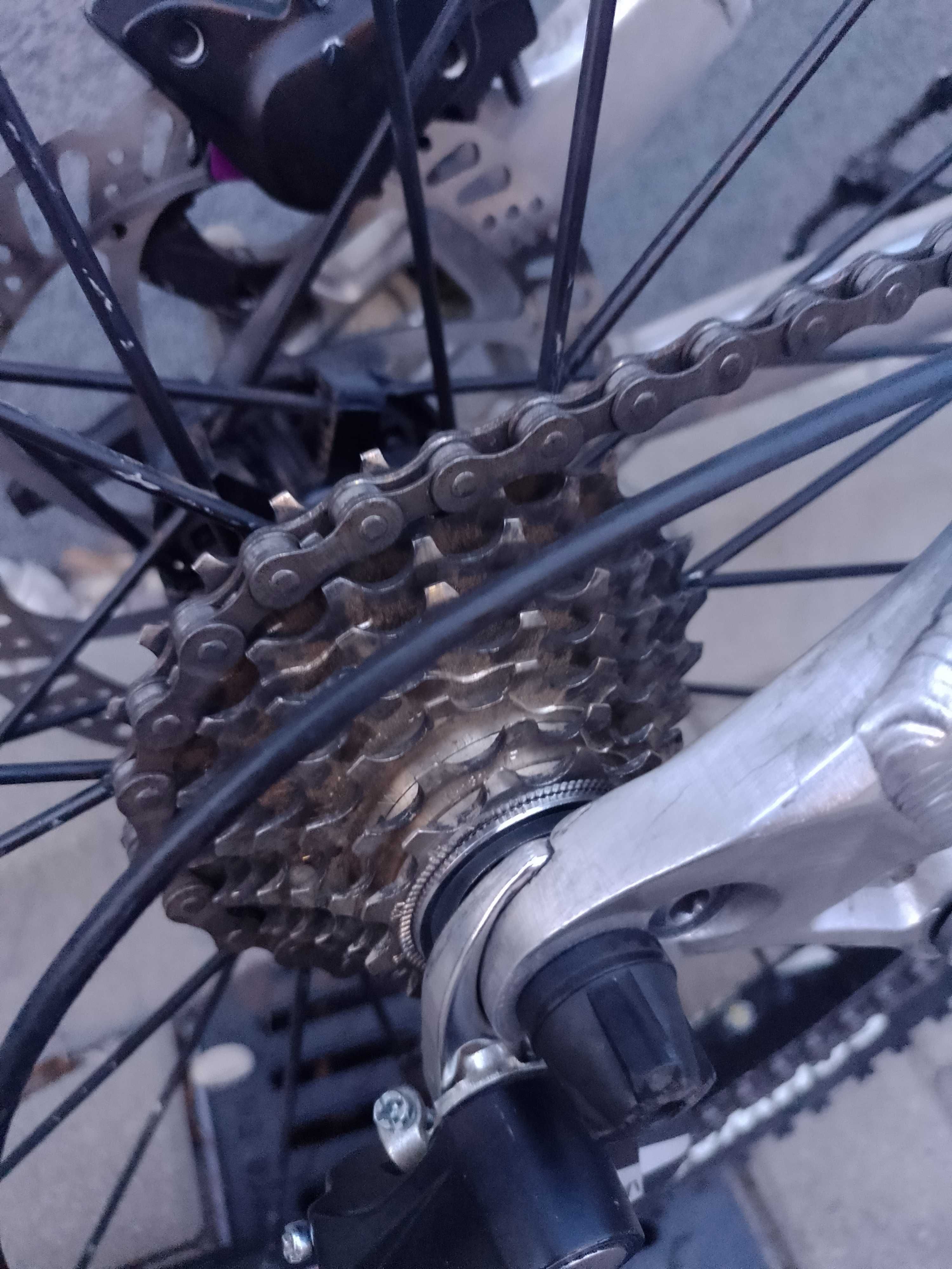 Specialized Big Hit DH