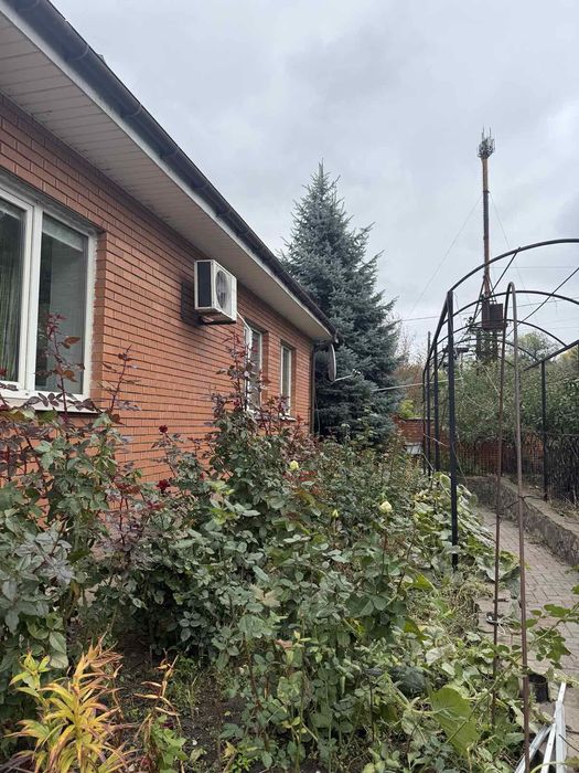 Продам ель голубую