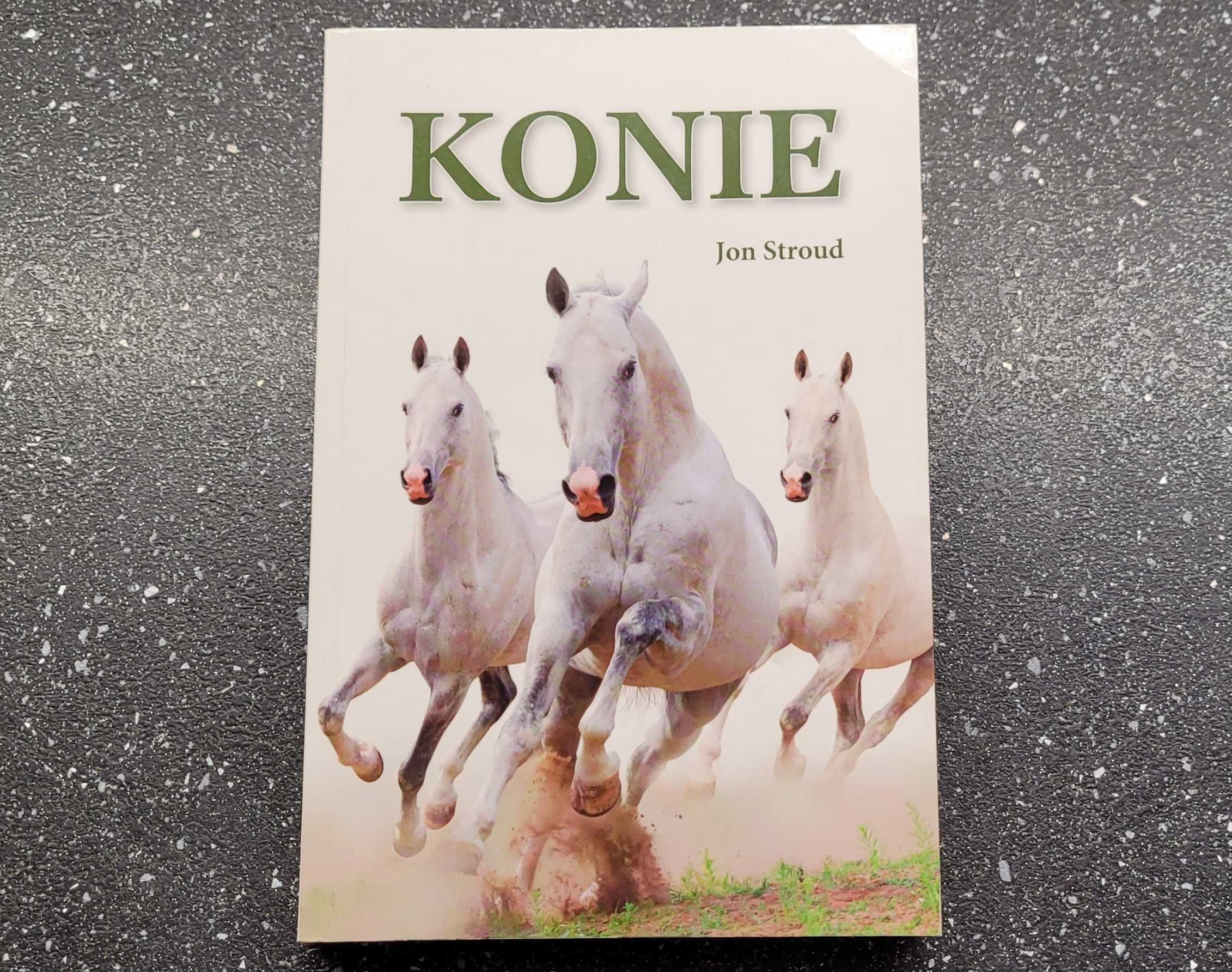 Konie /Jon Stroud