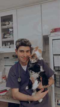 Dog Walker | enfermeiro veterinario