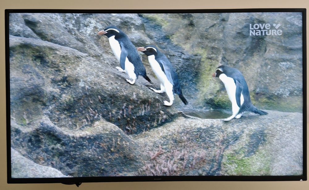 TV Sharp LC-50UI7222E