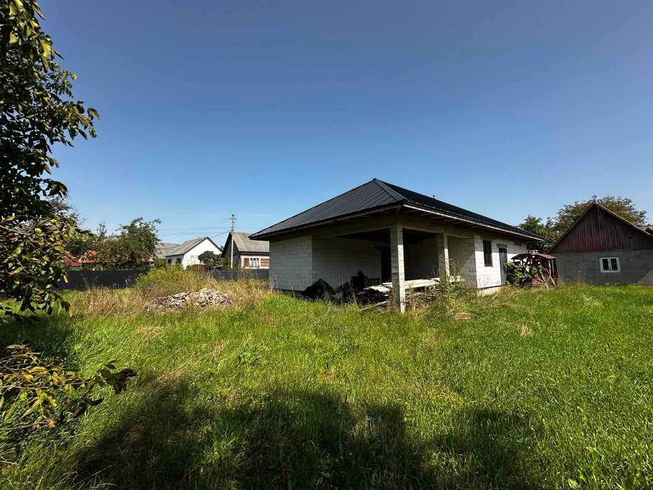 Продається будинок в с. Теребля