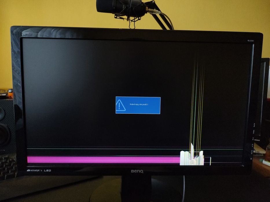 Uszkodzony monitor BenQ GL2250-T