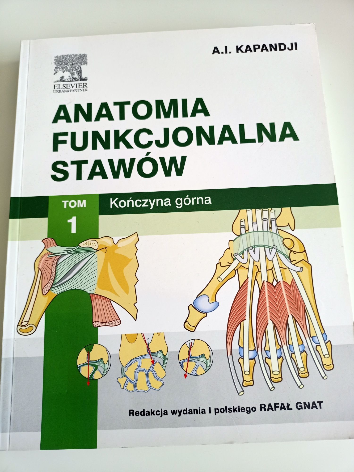 Anatomia funkcjonalna stawów Tom 1, A.I. Kapandji