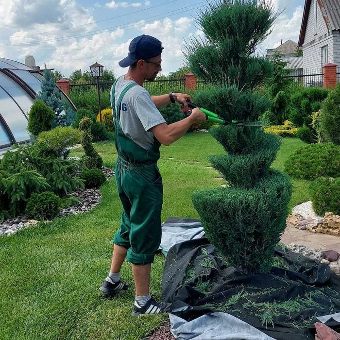 Обрезка сада, формирование деревьев, Обработка от вредителей