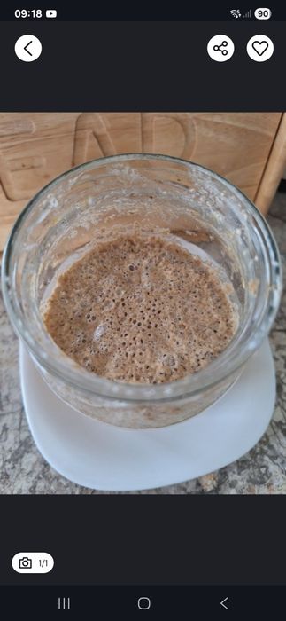 Zakwas żytni mocny stary 100 gram na chleb Żurek