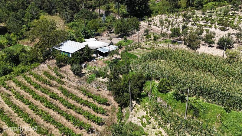 Quinta / Amarante, Mancelos