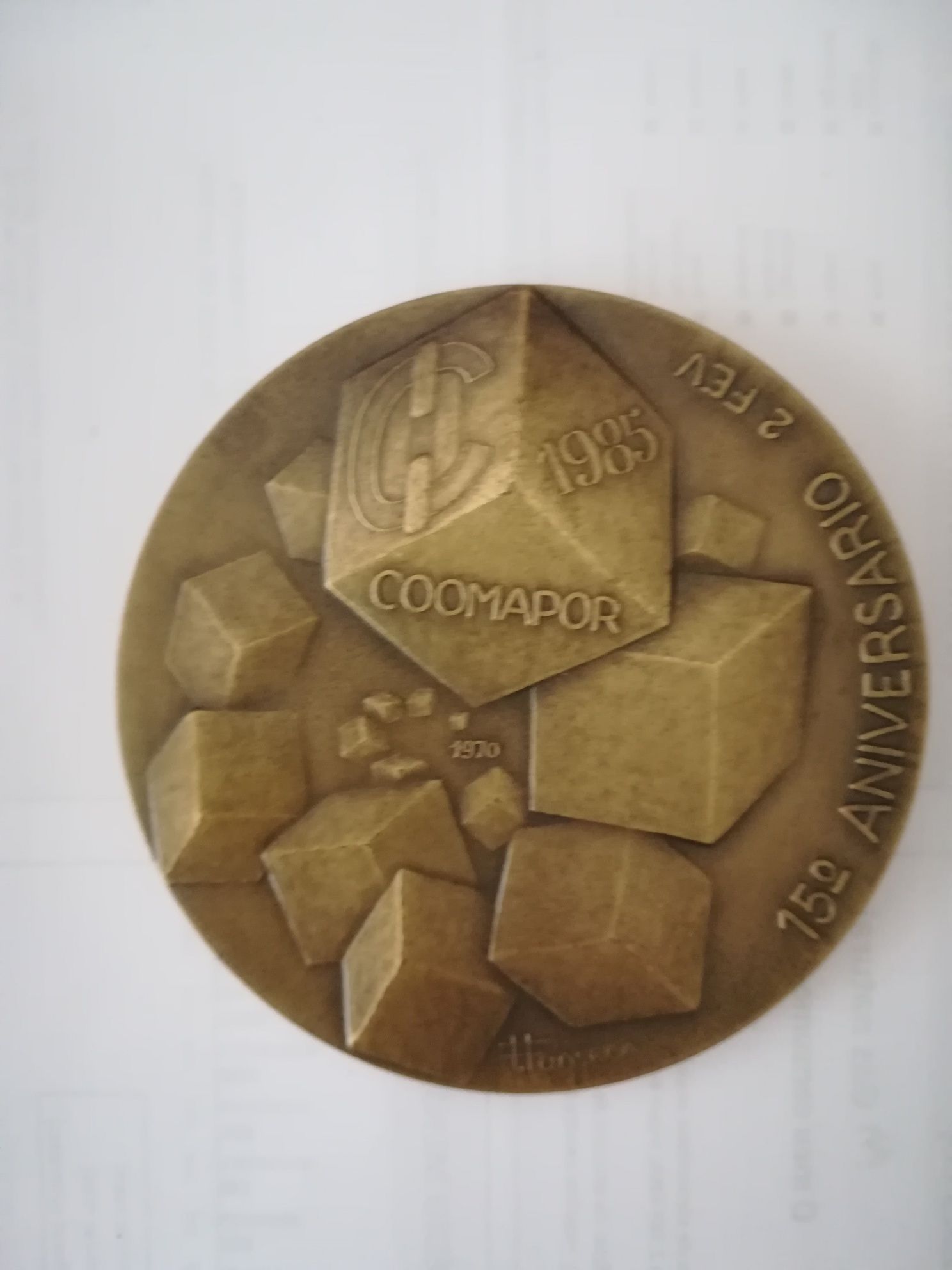 Medalha bronse alusiva estivador