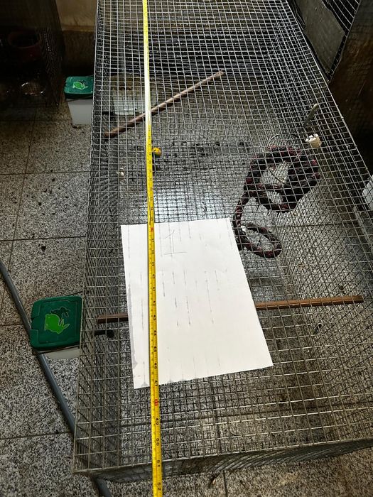 varias gaiolas bom estado