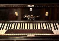 Піаніно Bluthner