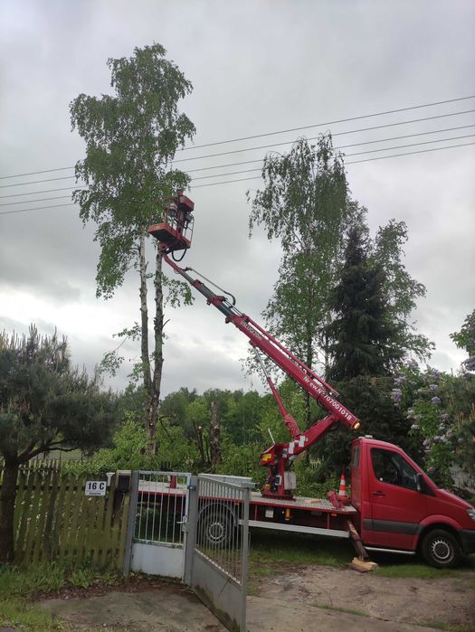 Podnośnik koszowy wynajem/usługi