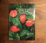 Livro Flores da Madeira - Rui Vieira