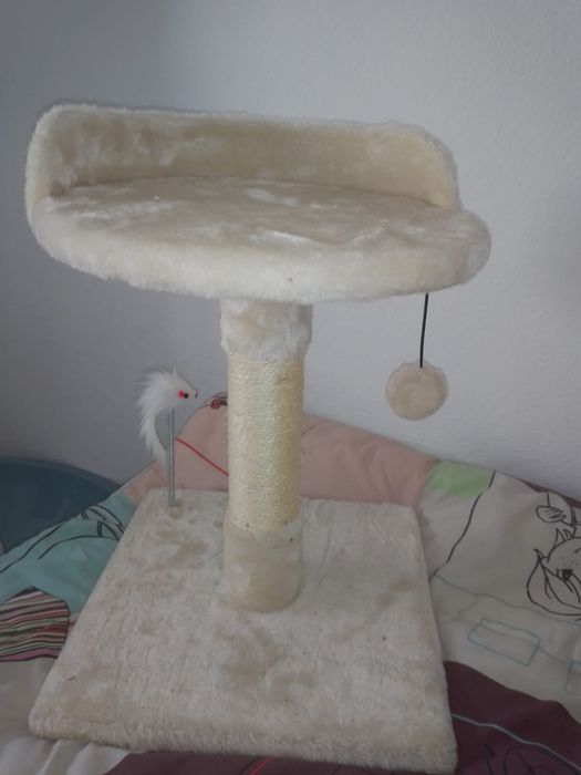 Arranhador de gato