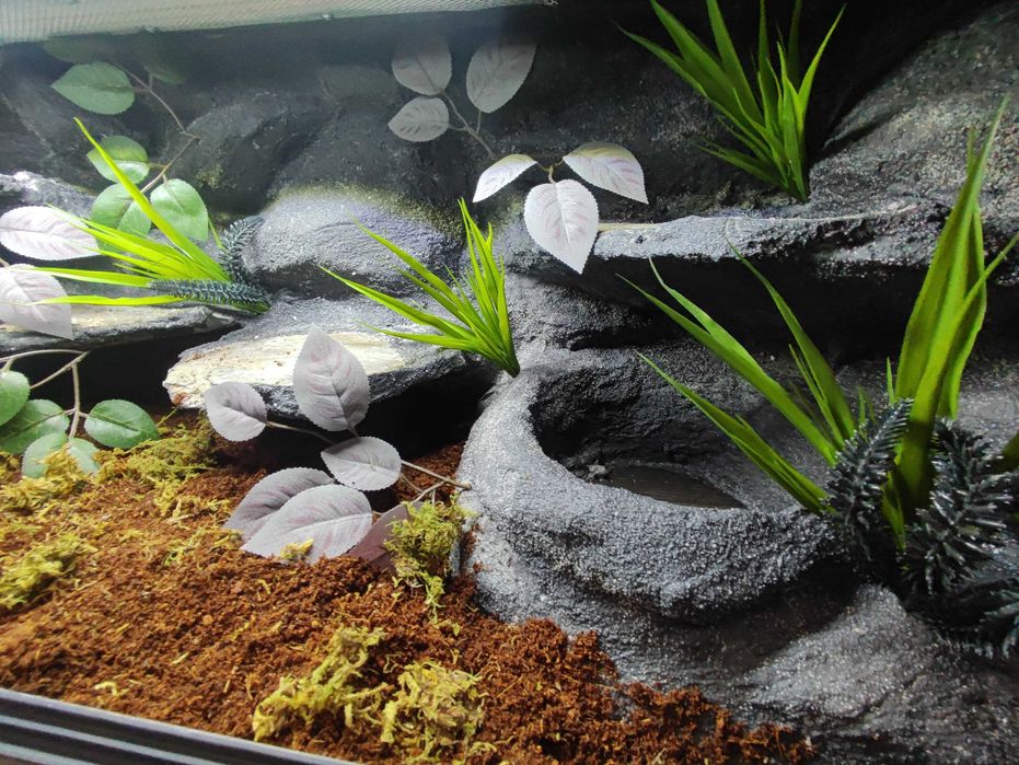 Terrarium tropikalne nr731 100/40/40 dla węża boa pyton NA ZAMÓWIENIE