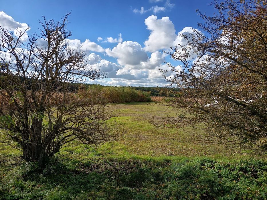 Działka z bezterminowymi warunkami zabudowy w Pruskiej Łące