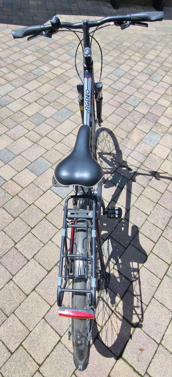 Rower Giant Argento 4