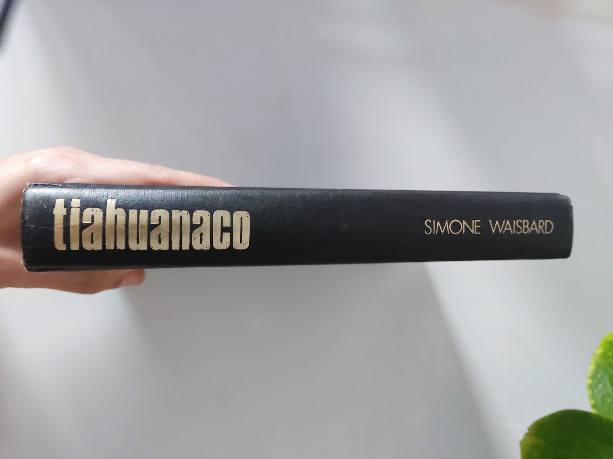 Livro Tiahuanaco de Simone Waisbard