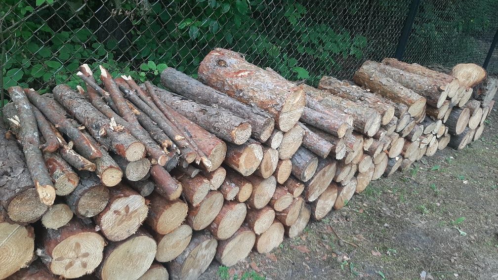 Drewno sosnowe na opał