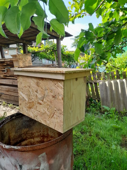 Рійниця для бджіл