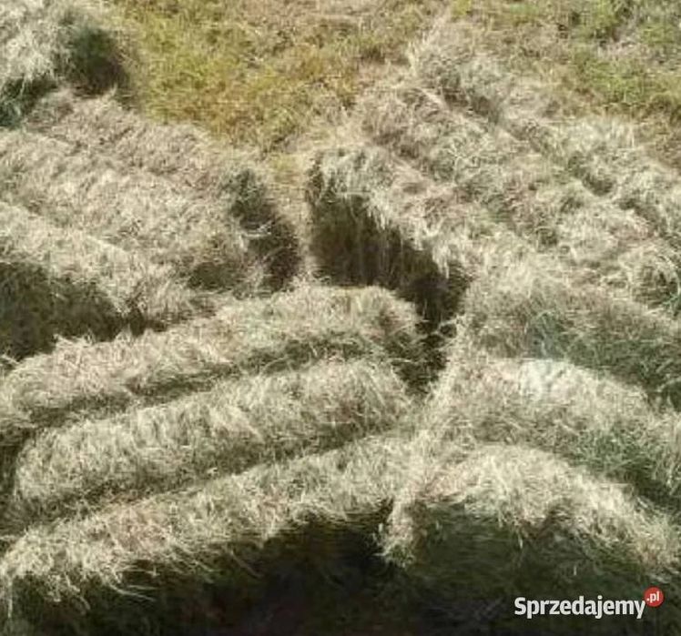 Sprzedam siano w kostkach