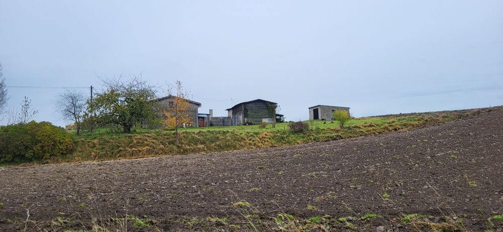 Dom Siedlisko Gospodarstwo Rolne Kociewie