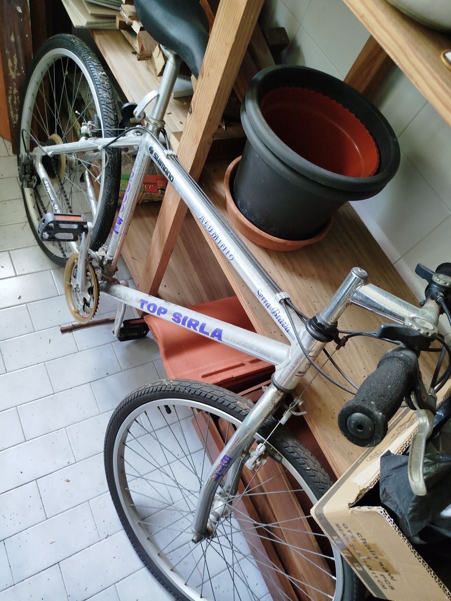 Bicicleta de montanha