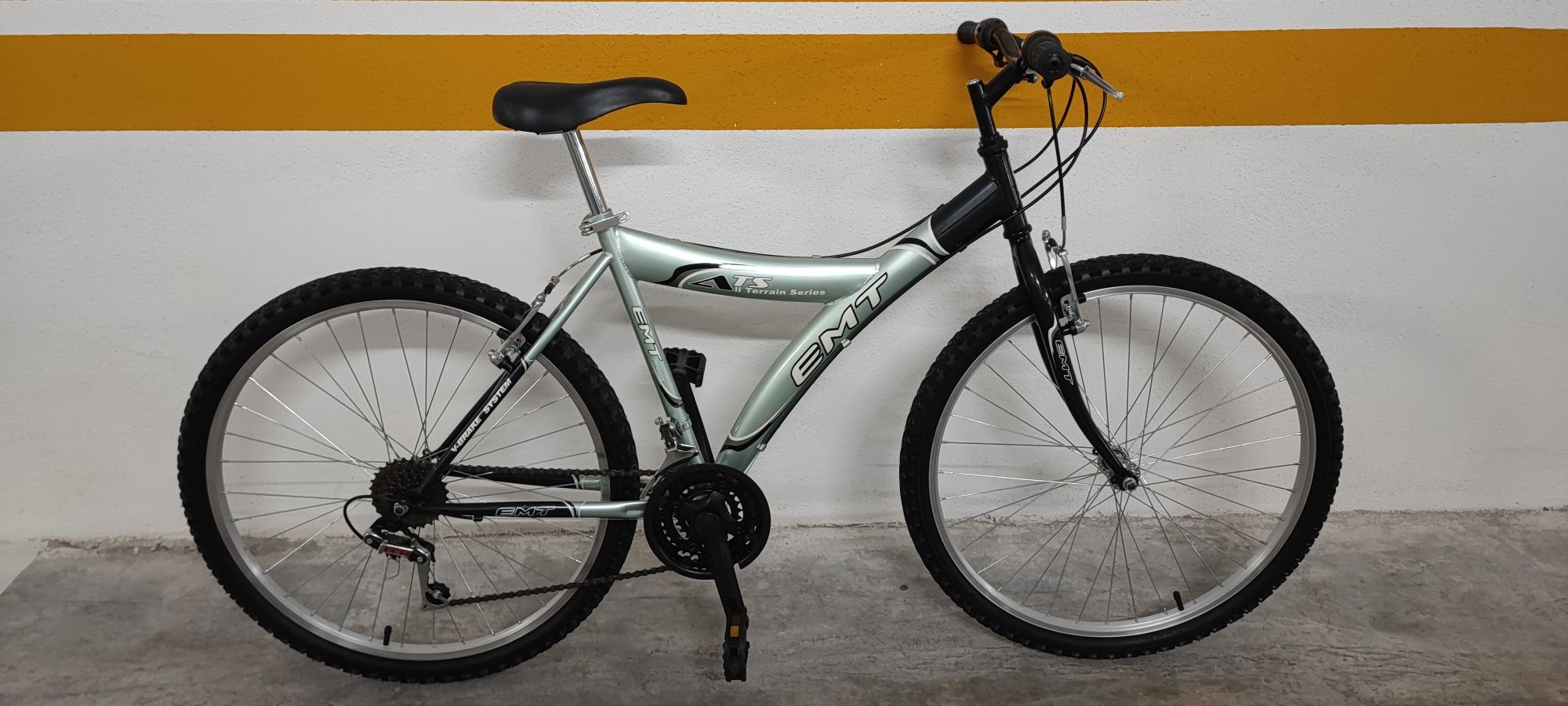 Bicicleta de montanha
