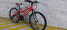 Bicicleta de Jovem "Team"