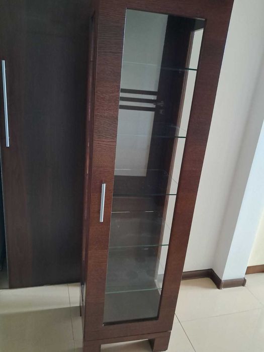 Elegancka witryna fornirowana idealna na książki, dekoracje i kolekcje