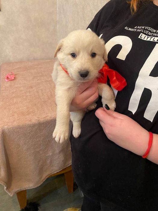 Хлопчики в добрі ручки