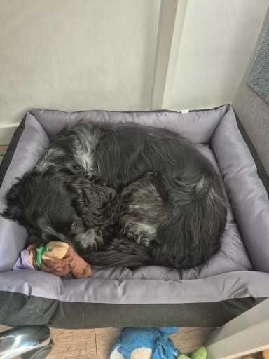 Legowisko dla Psa Kota – Wodoodporne Posłanie 75x65 cm NOWE