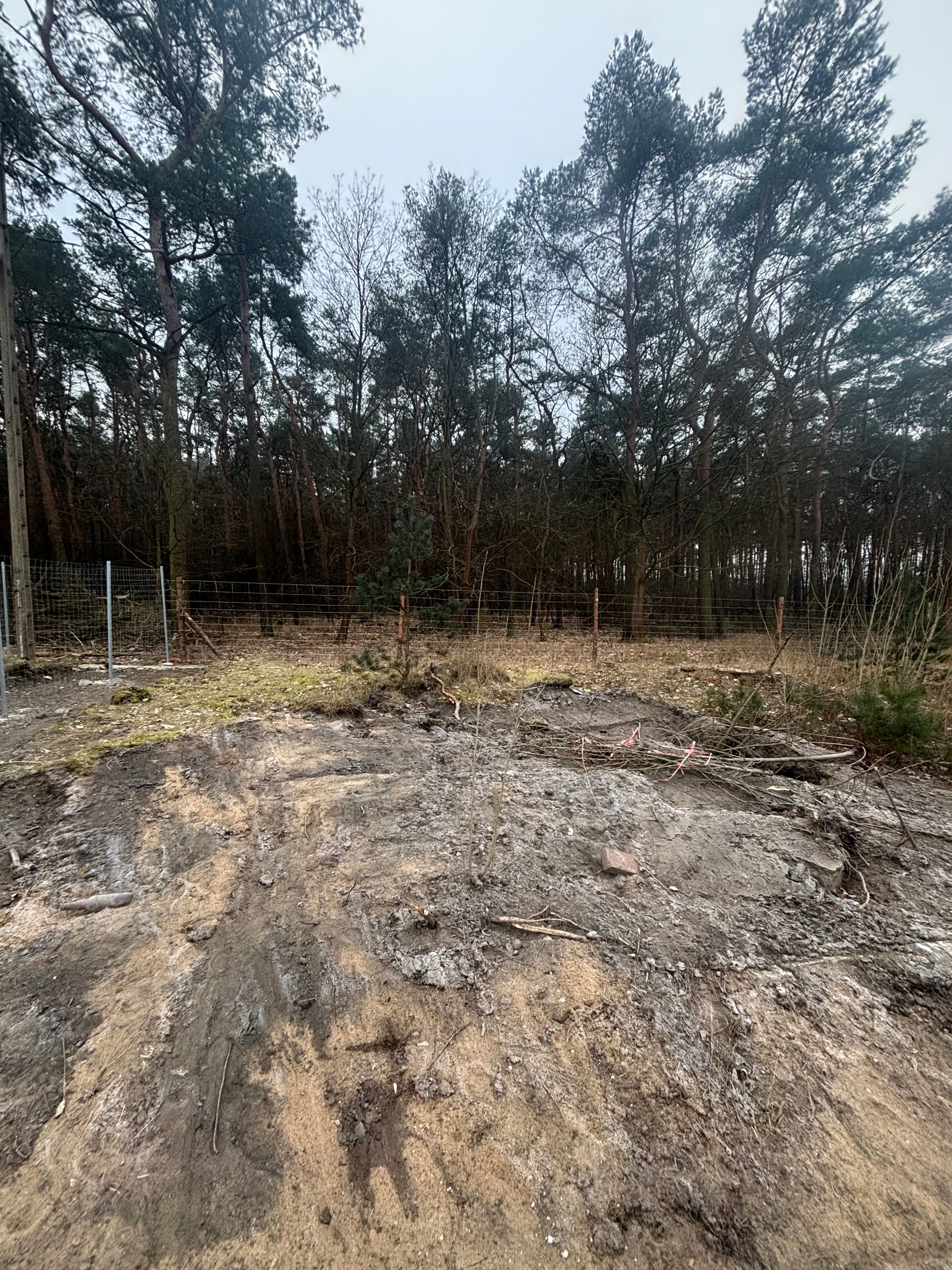 Ogrodzenie leśne