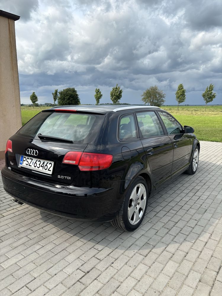 Audi A3 8P 2.0 TDI