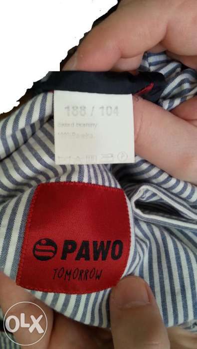 Marynarka Pawo