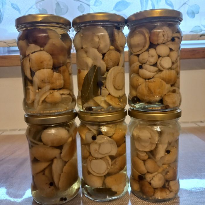 Rydze marynowane i po cygańsku