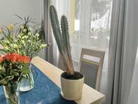 Kaktus duży 58cm