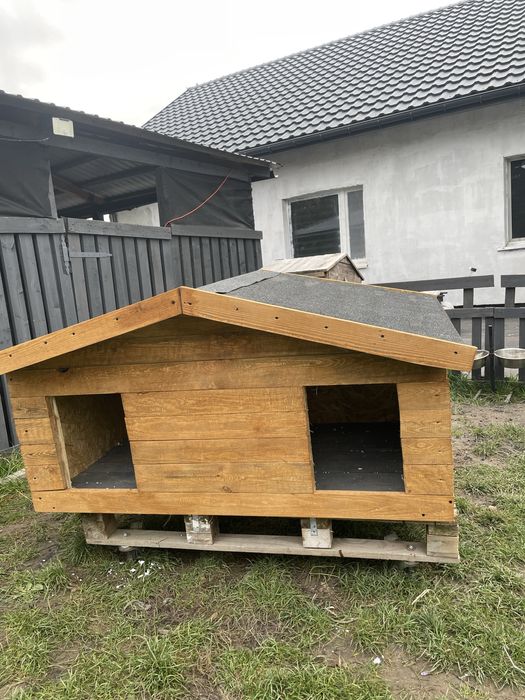 Buda dla psów, podwójna