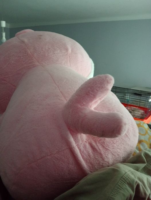 Hello kitty w ubranku rekinka odbiór osobisty