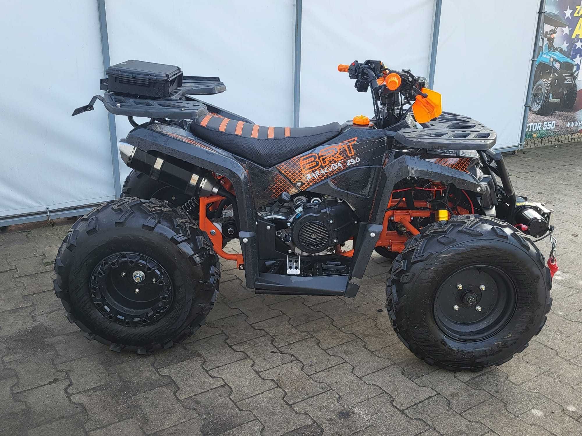 Quad Beretta Baracuda 250 , wyciągarka , nowy , powystawowy