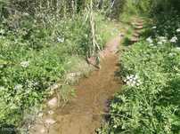 Terreno  para venda