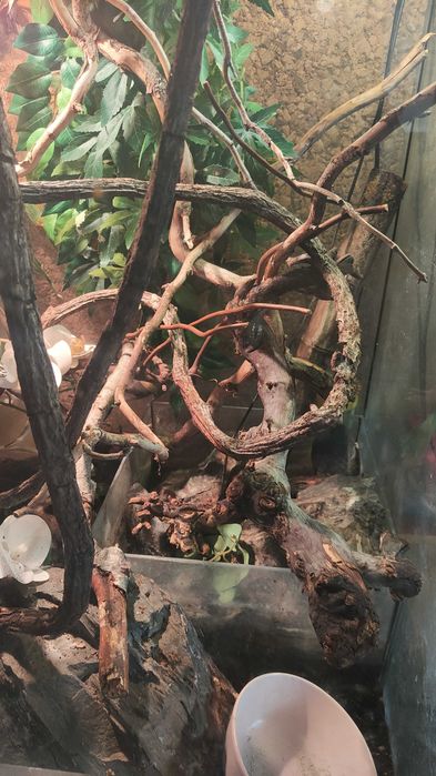 terrarium  100/80/60 z wyposażeniem ,z lampami