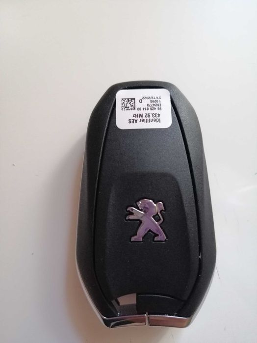 chaves novas DS_citroen_psa