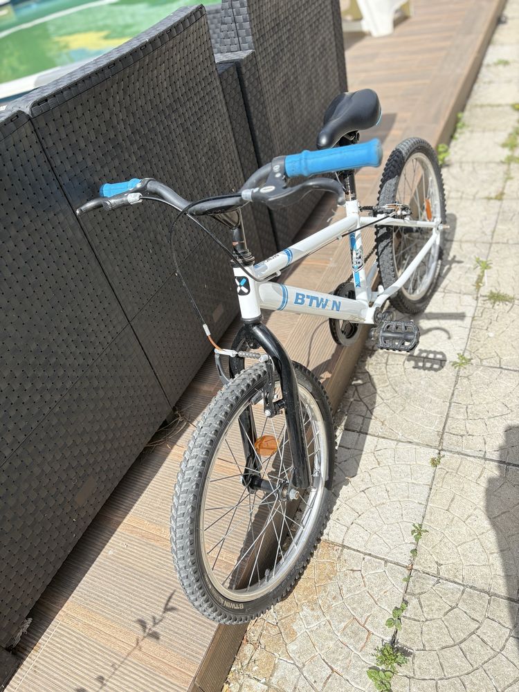 Bicicleta criamca