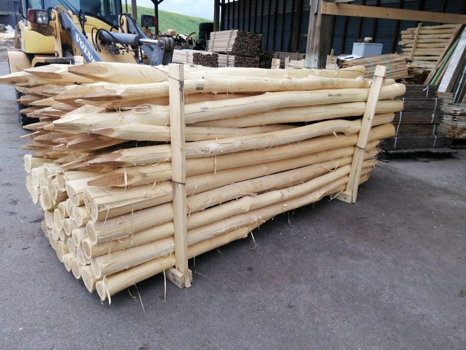 Akacja korowana 10/12 x250cm pale kołki słupy