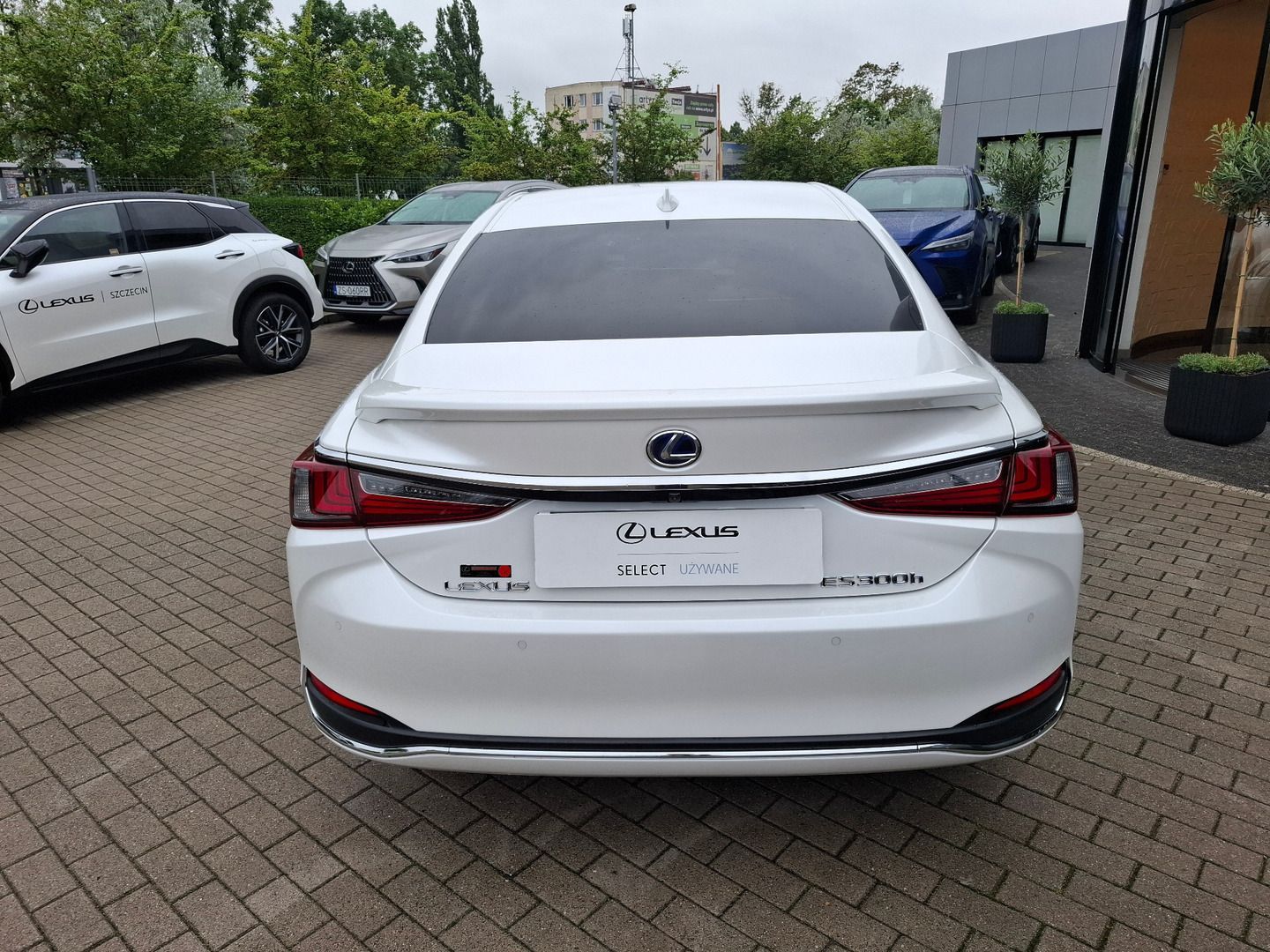 Lexus ES 300h Business Edition + | VatMarża | Lexus Relax | Serwisowany |