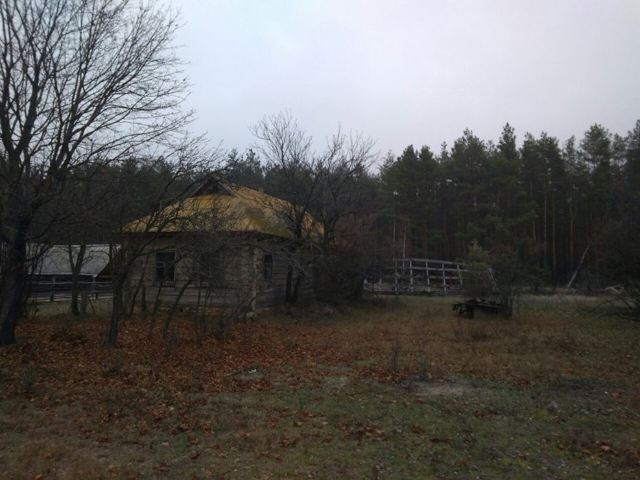 Продам участок земли в с. Рыхта. Вышгородский р-н. 21,2 сотки