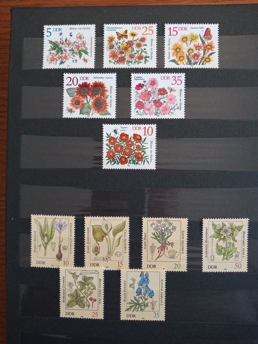 Klaser ze znaczkami fauna i flora