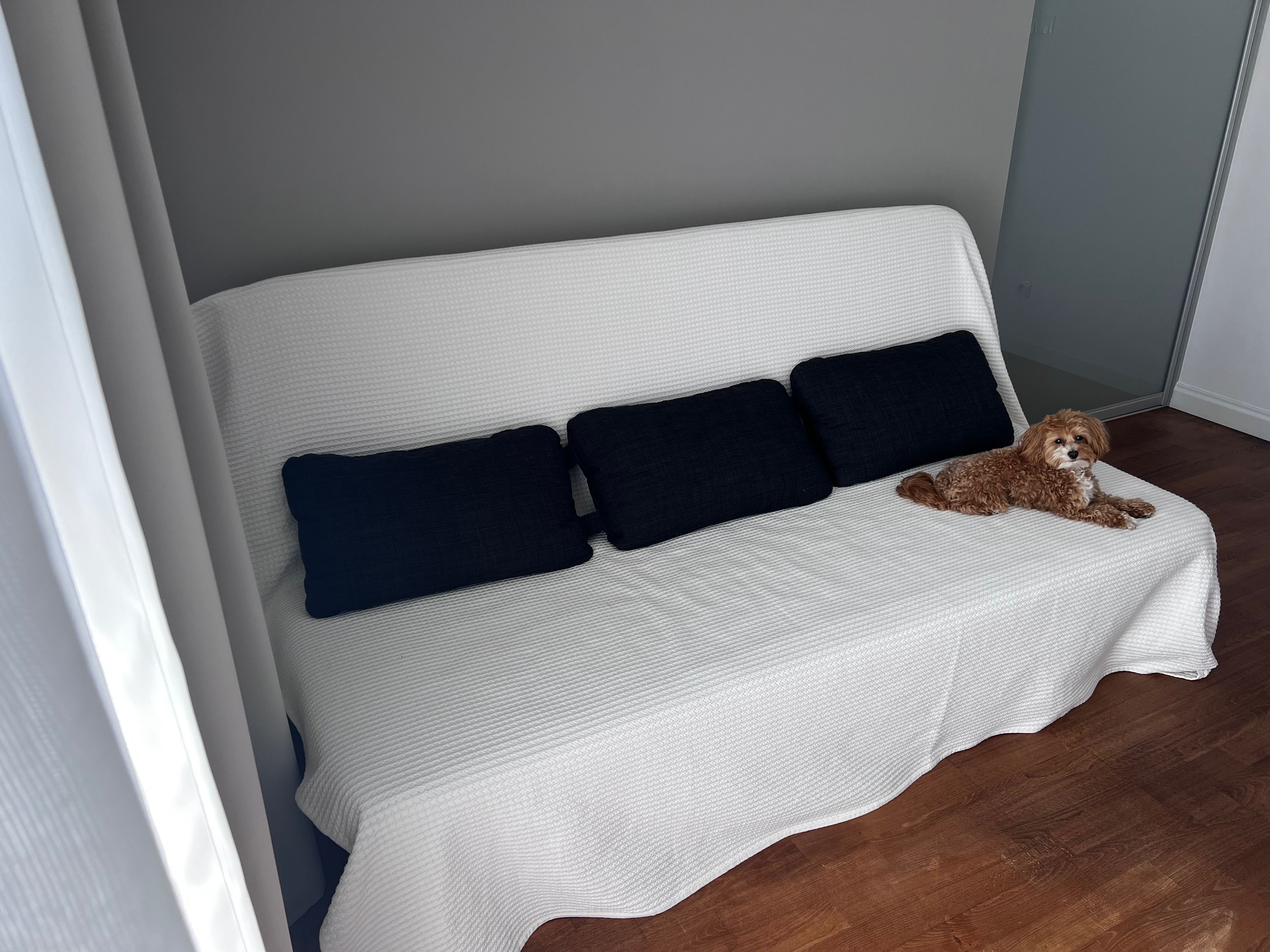 Kanapa / sofa / łóżko IKEA