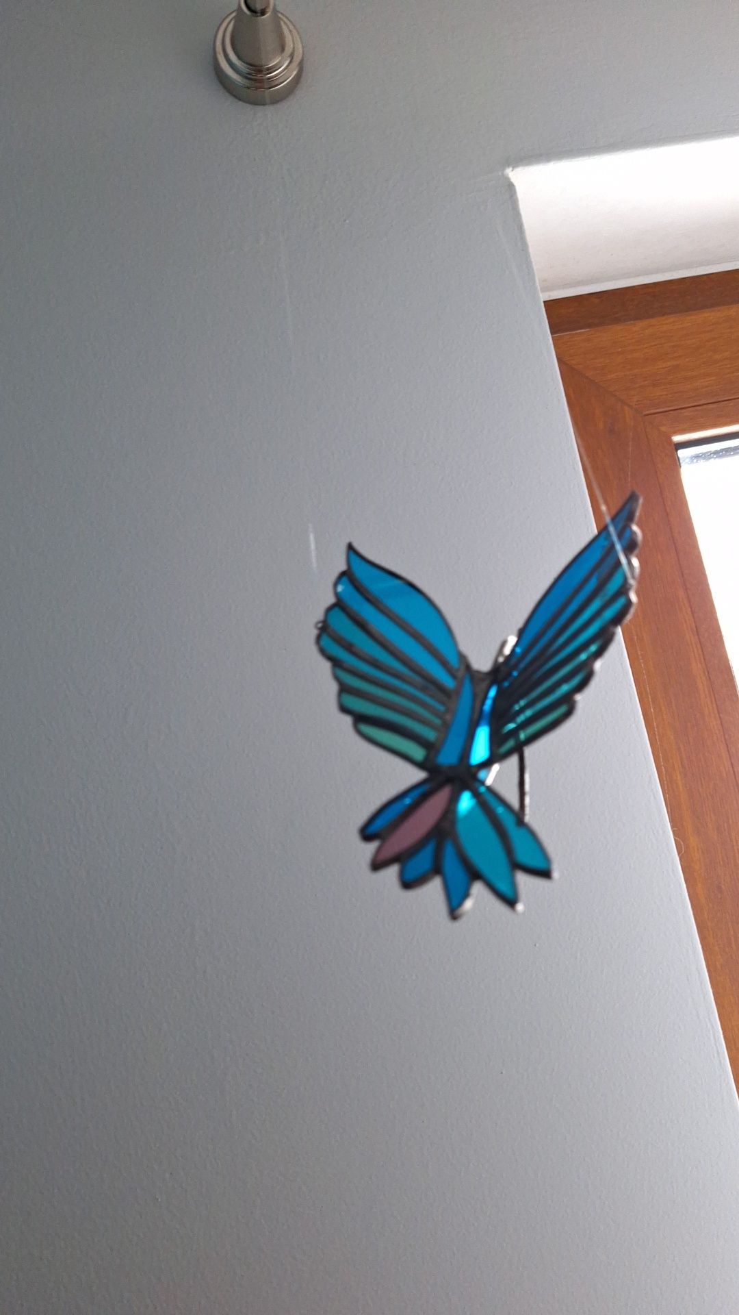 Koliber mega z szkła 3D nowy witraż gwarancja